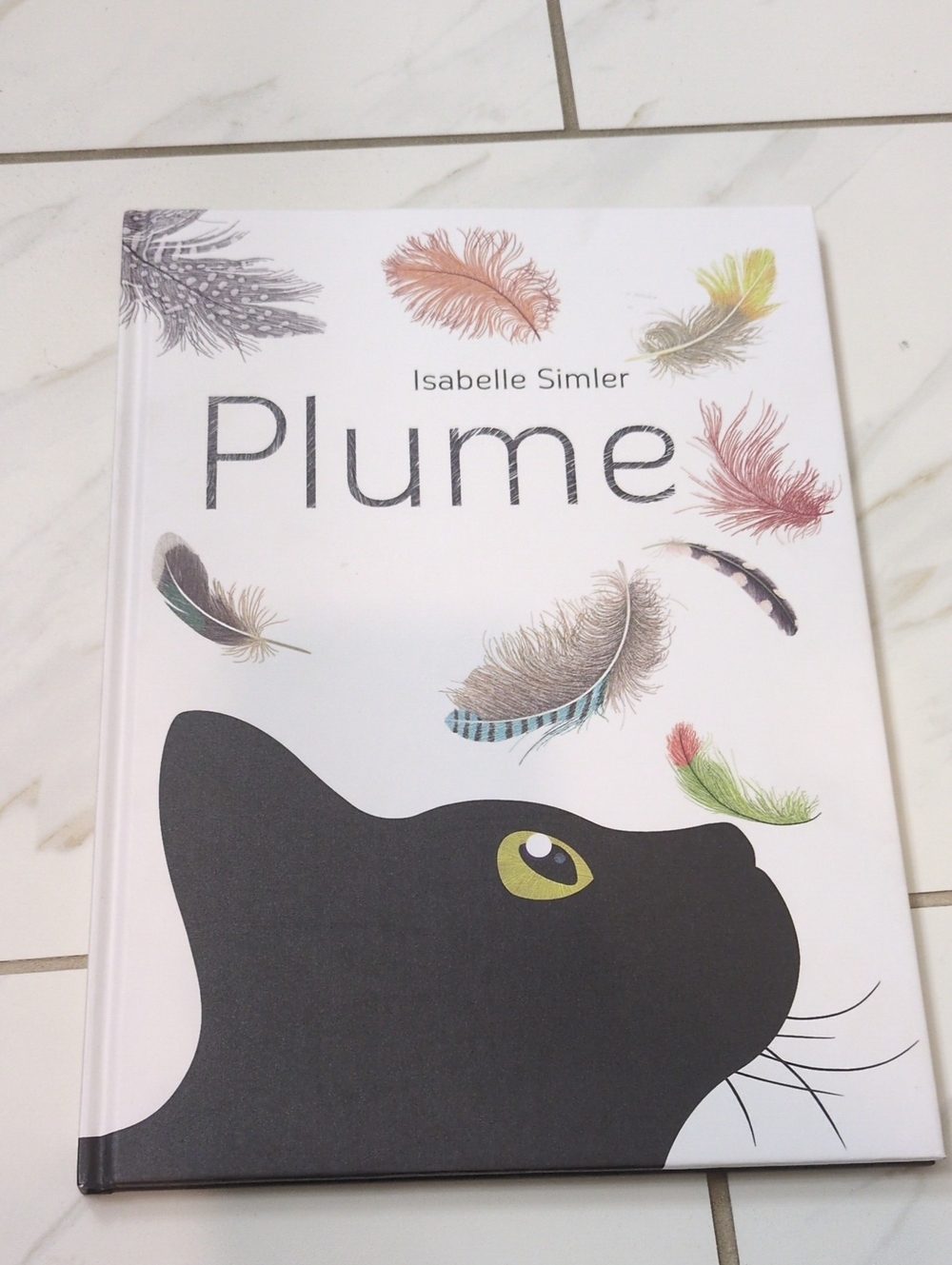 Plume Children's Book By Isabelle Simler